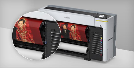 自動收卷器 - Epson P11080D產品功能