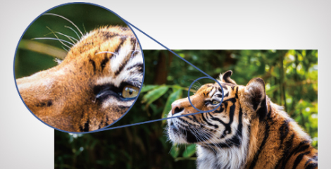 1080P高分辨率 - Epson CB-750F產品功能