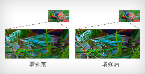 細節增強功能 - Epson CB-L210SF產品功能