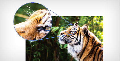 1080P高分辨率 - Epson CB-L250F產品功能