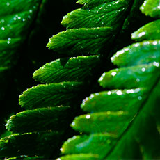 讓時間更精準。